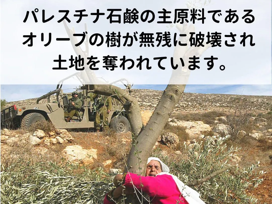 NABLUS SOAP / ナーブルスソープ(ナーブルスソープ) - 仕入れ・卸売り