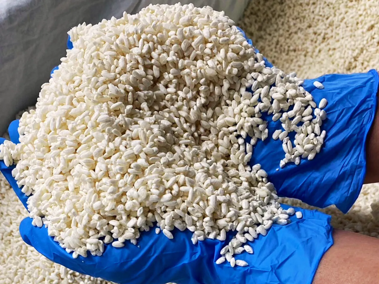 きぃやん！ブレンド米25kg！ 米 無洗米 令和6年 新潟産 業務用米 25kg 送料無料 ブレンド米