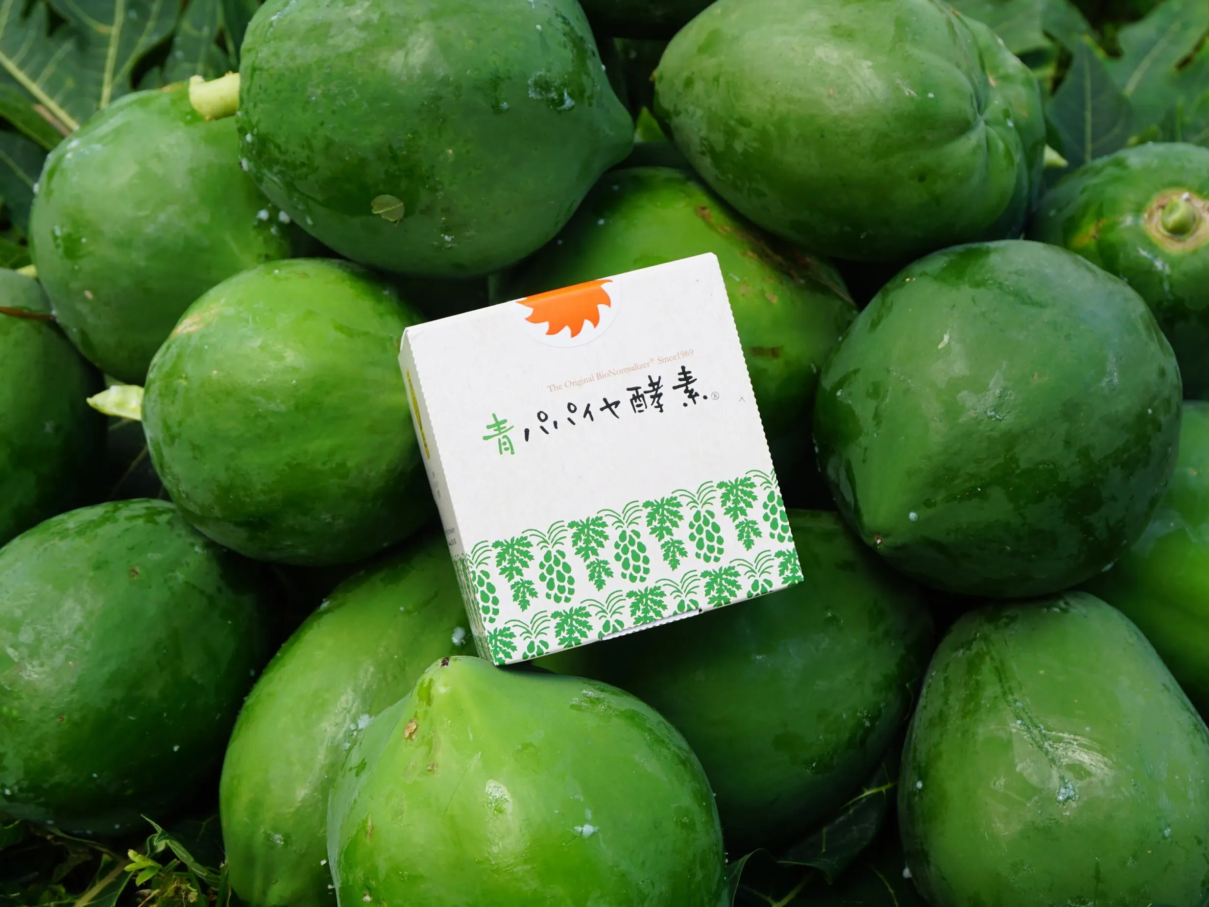 バイオ・ノーマライザー - 仕入れ、卸ならグッズ