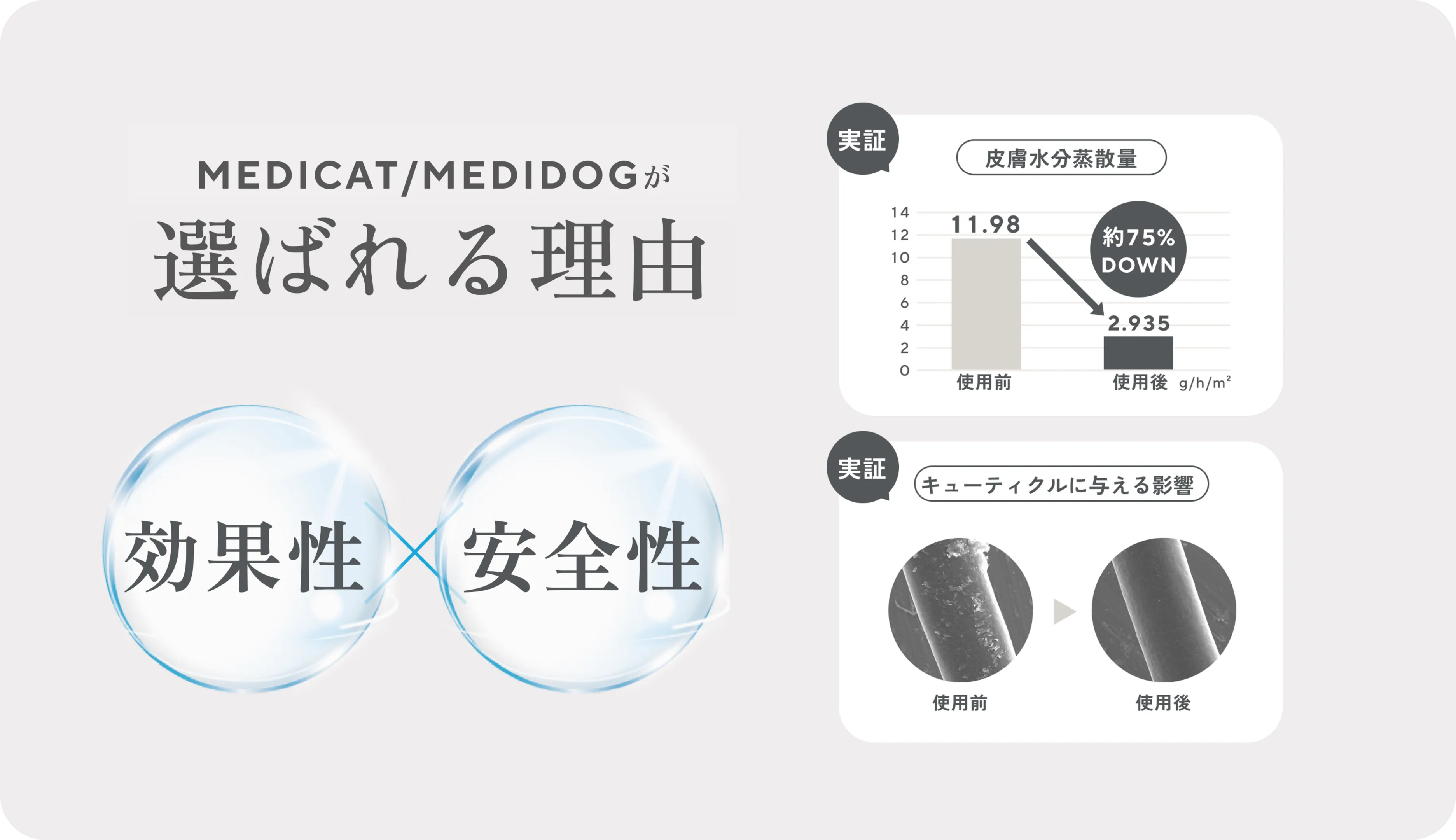 Hill's Prescription Diet K/D Kidney Care & Mobility Dry Dog