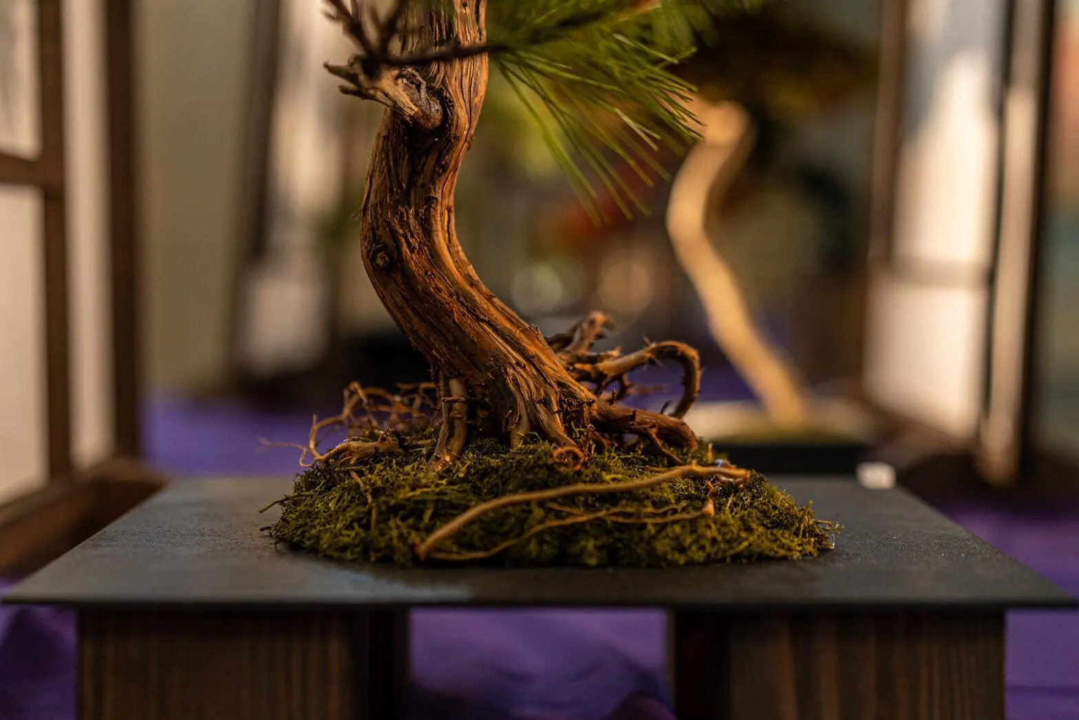 ART MIX BONSAI - 仕入れ、卸ならグッズ