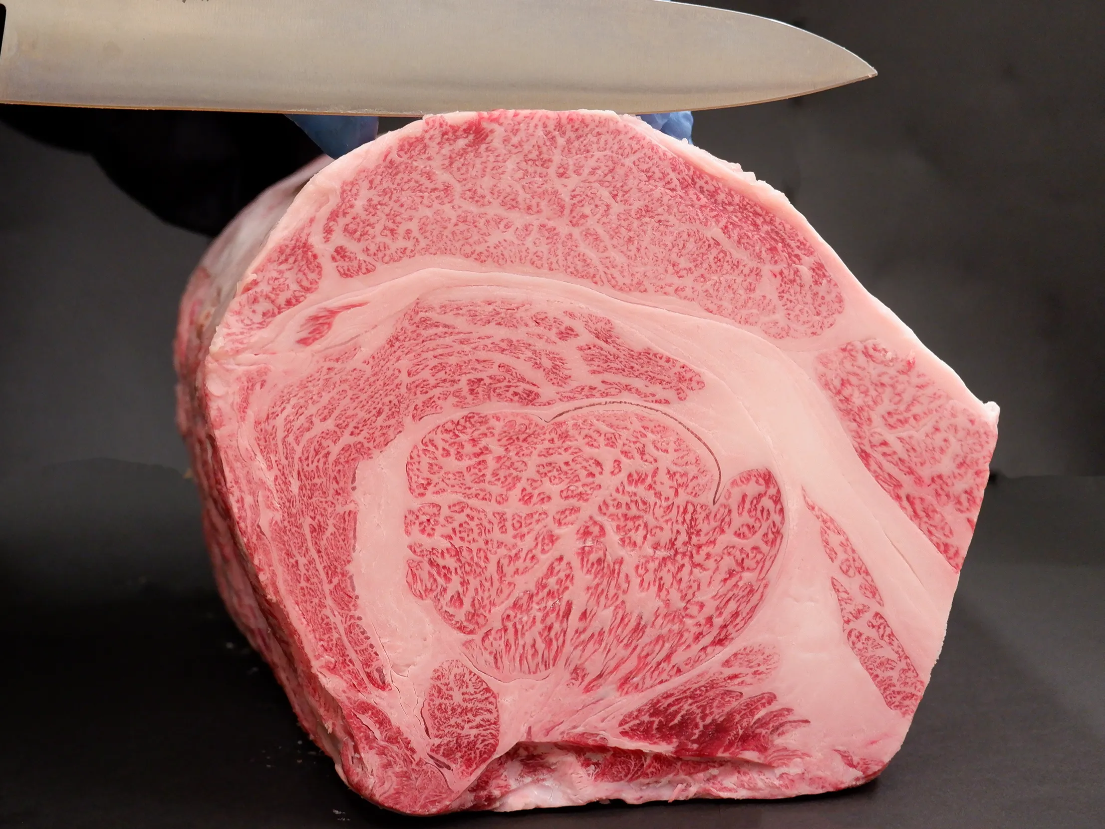 季節のおすすめ商品 にくよし(ニクヨシ) - 仕入れ、卸ならグッズ アクセサリー