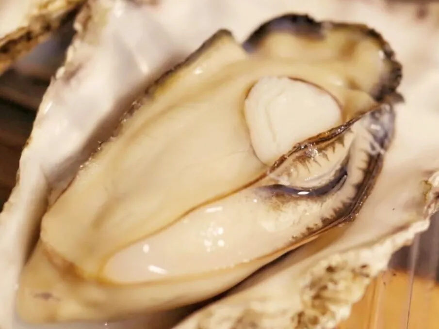 喜多嬉かき・EMPEROR OYSTER(キタキカキ・エンペラーオイスター