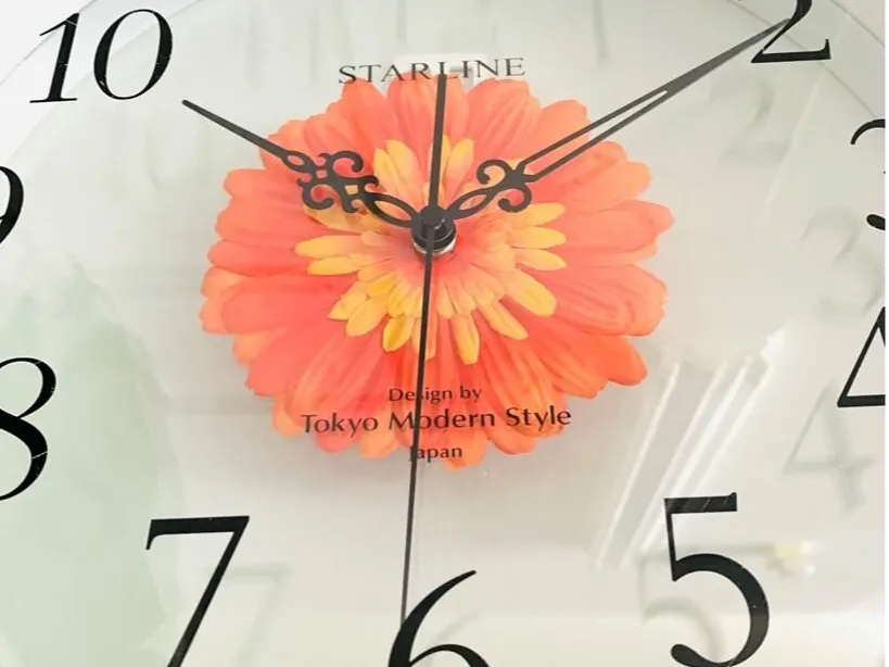 STARLINE(スターライン) - 仕入れ・卸売りならグッズ - 全国のこだわり