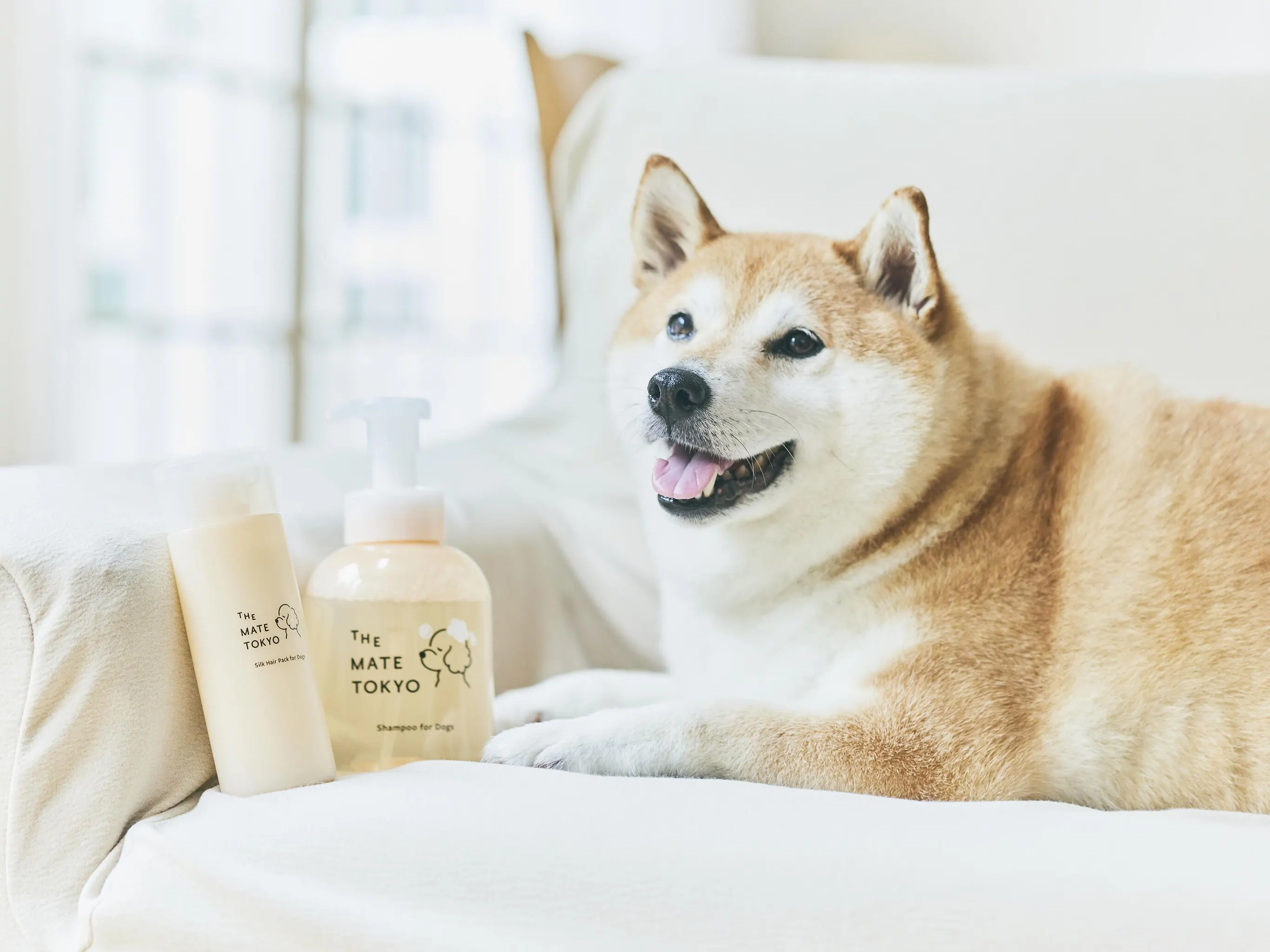 The Mate Tokyo(ザメイトトーキョー) - 仕入れ・卸売りならグッズ