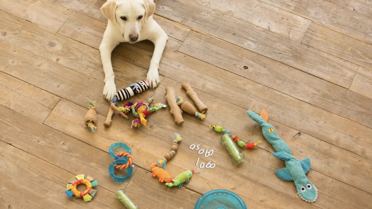 アソボラボ ペット用 ラタン ベッド ビーズクッション ナチュラルラウンドベッド AsoboLabo(アソボラボ) - 仕入れ・卸売りならグッズ - 全国のこだわり