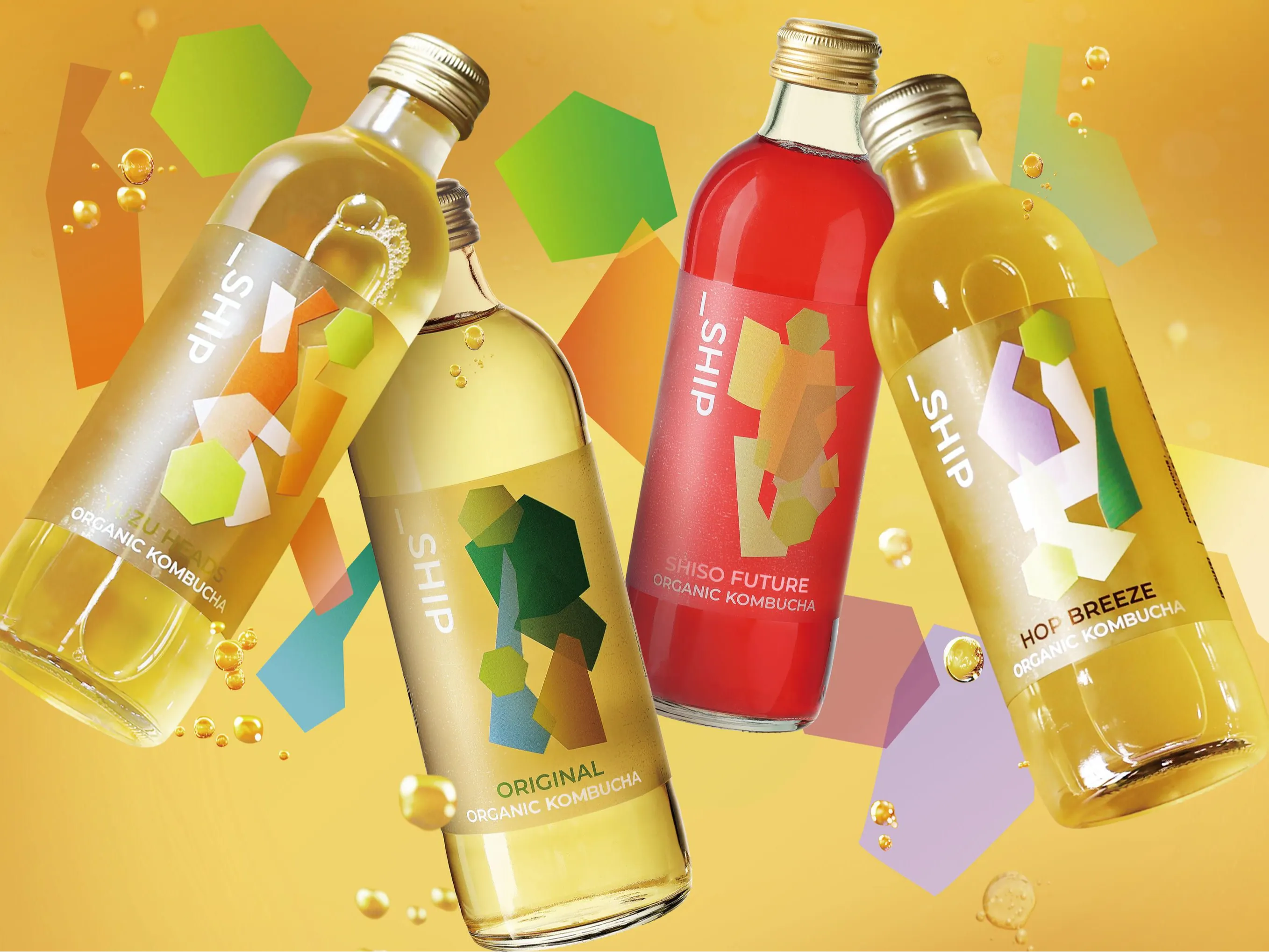 _SHIP KOMBUCHA(シップコンブチャ) - 仕入れ・卸売りならグッズ - 全国