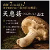 商品画像 2 のサムネイル