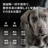 商品圖片 7 縮圖