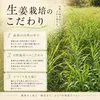 Thumbnail of product image 5