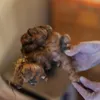 商品画像 4 のサムネイル