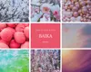 商品画像 6 のサムネイル