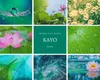 商品画像 5 のサムネイル