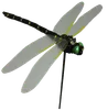 Thumbnail of product image 1
