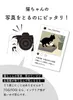 商品画像 4 のサムネイル