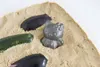 商品画像 2 のサムネイル