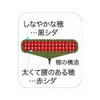 商品画像 3 のサムネイル