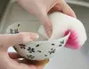 商品画像 1 のサムネイル