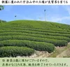 商品圖片 3 縮圖