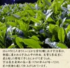 Thumbnail of product image 6