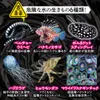 商品画像 2 のサムネイル