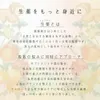 商品画像 8 のサムネイル