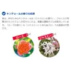 商品画像 4 のサムネイル
