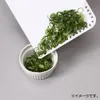 商品画像 5 のサムネイル