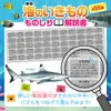 商品画像 6 のサムネイル