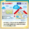 商品画像 5 のサムネイル