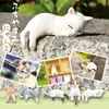 商品画像 5 のサムネイル