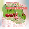 商品画像 5 のサムネイル