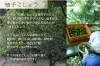 商品画像 6 のサムネイル
