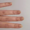 商品画像 3 のサムネイル