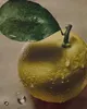 商品画像 9 のサムネイル