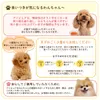 商品画像 10 のサムネイル