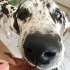 商品画像 3 のサムネイル
