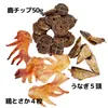 商品画像 2 のサムネイル