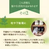 商品画像 4 のサムネイル