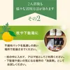 商品画像 5 のサムネイル