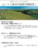 商品画像 7 のサムネイル
