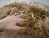商品画像 5 のサムネイル