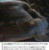 商品画像 5 のサムネイル