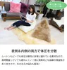 商品画像 6 のサムネイル