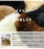 商品画像 7 のサムネイル