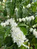 Thumbnail of product image 6