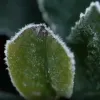 商品圖片 8 縮圖