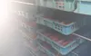 商品画像 6 のサムネイル