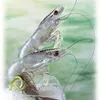 商品画像 3 のサムネイル