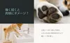 商品画像 6 のサムネイル
